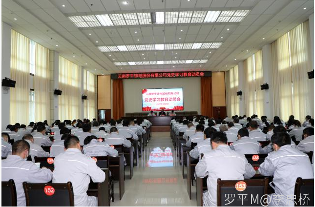 九游手机在线登入,九游(中国)召开党史学习教育动员会